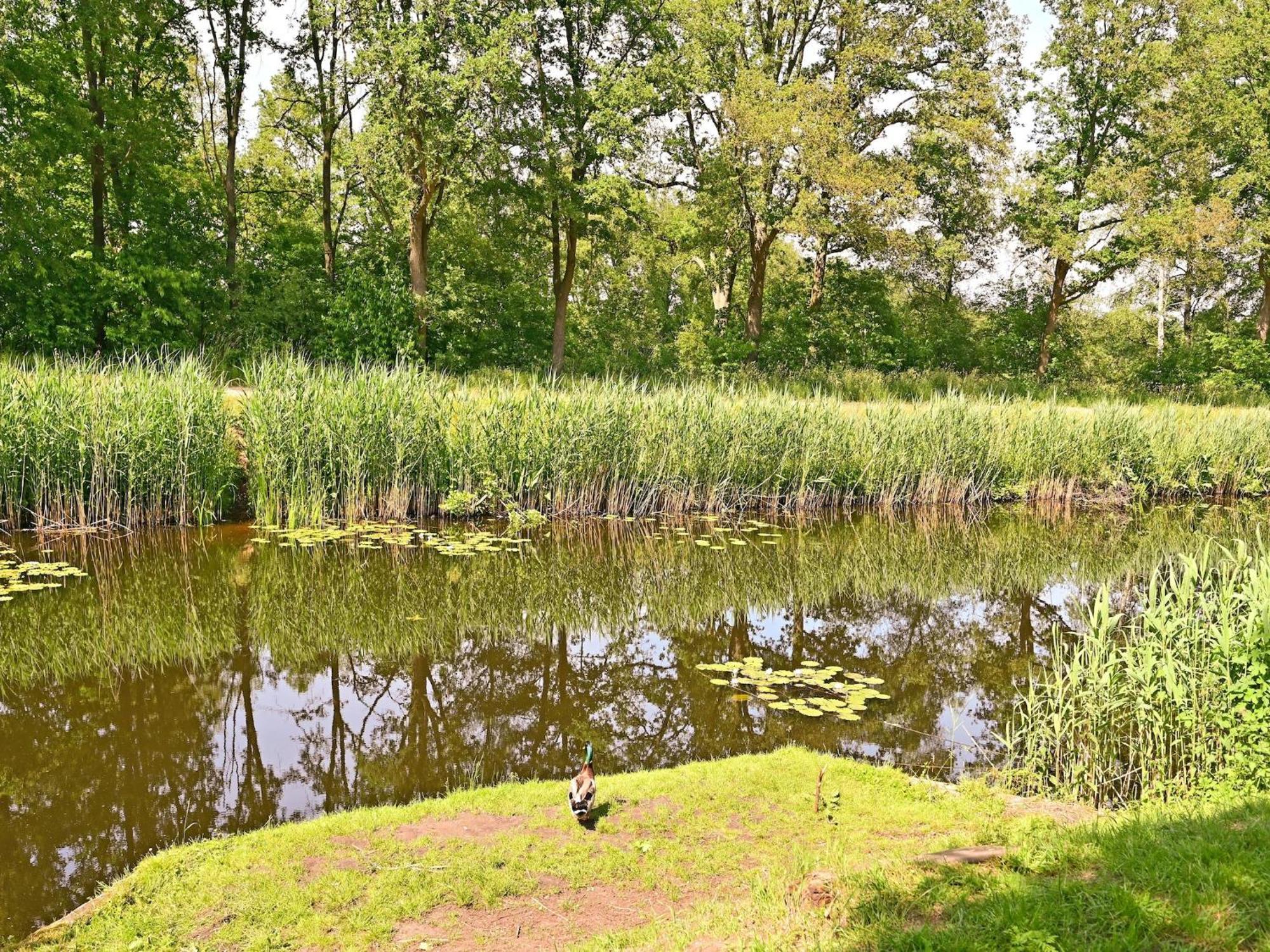Chalet With Gorgeous View Of The Natural Surroundings Weerselo Extérieur photo